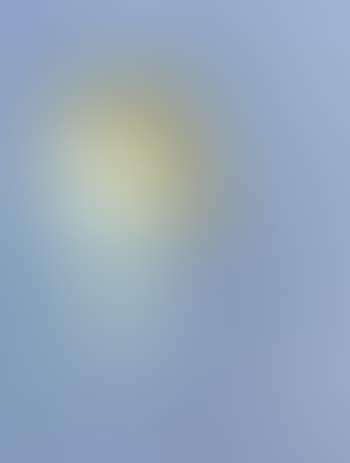 Untitled (preview)