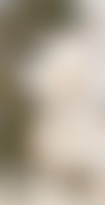 Self portrait (preview)