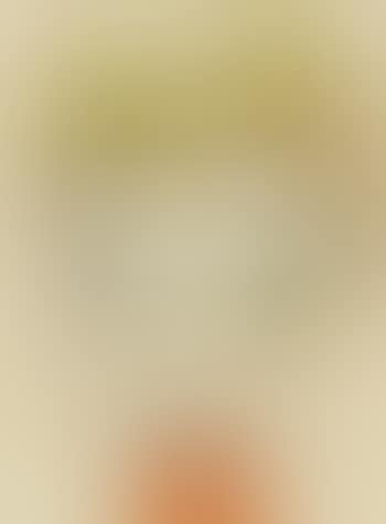 Untitled (preview)