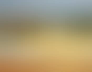 Petit mas (preview)