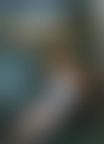 Stream scene (preview)