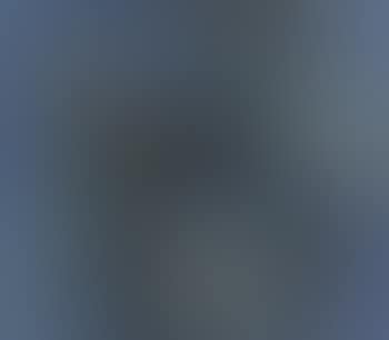 Oiseaux (preview)