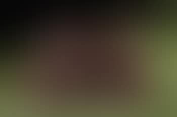 Reclining figure: angles (preview)