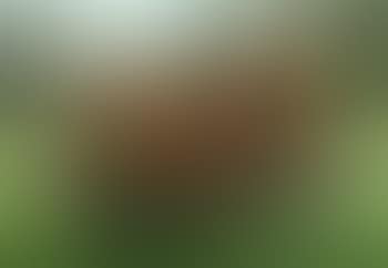 Three-piece reclining figure: draped (preview)