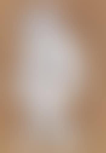 Le facetieux (preview)