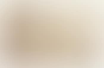 View of a clearing in a wood (preview)