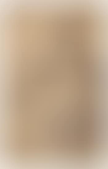 Woman holding a swaddled baby. Part study for battle scene (preview)