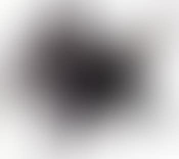 Canine (preview)