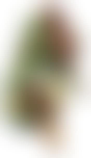 Ice cream cones (preview)