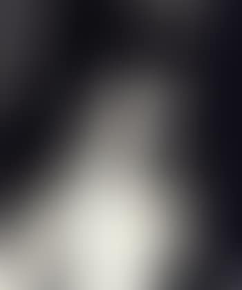 Torso (preview)