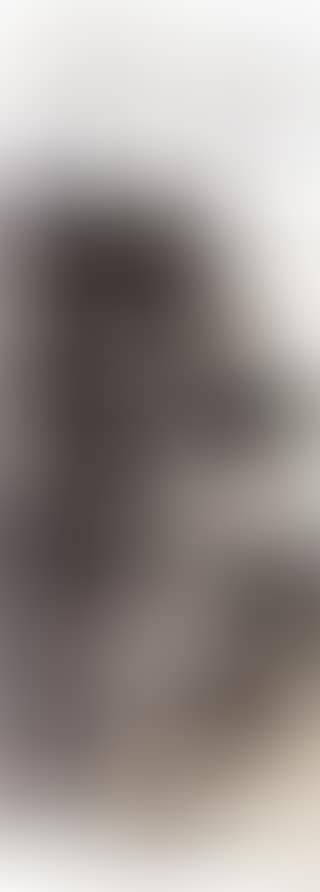 Landscape (preview)