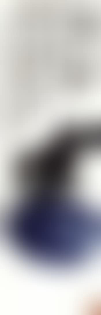 Parson crow on a melon (preview)