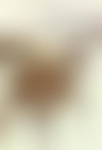 Le jockey (preview)