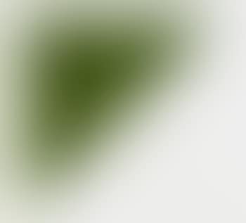 Green curve with radius of 20 degrees (preview)