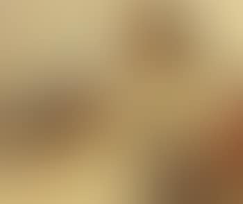 Daydreams (preview)