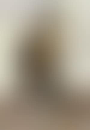 Figure with still life (preview)