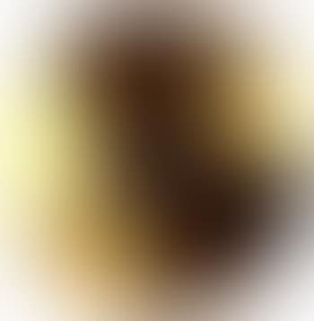 Study for brooch (preview)