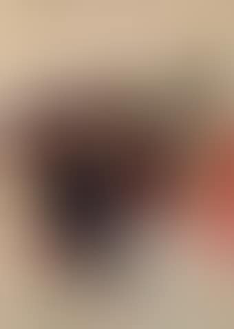 Untitled (preview)
