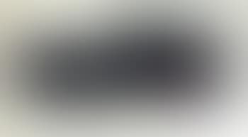 Window lights, Bird (preview)