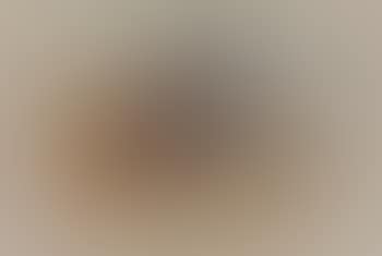 Partridges (preview)