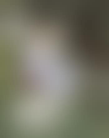 Shepherdess with goat (preview)