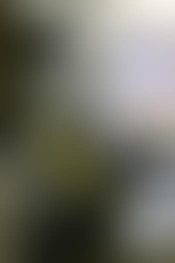 Homme dans un interieur (preview)