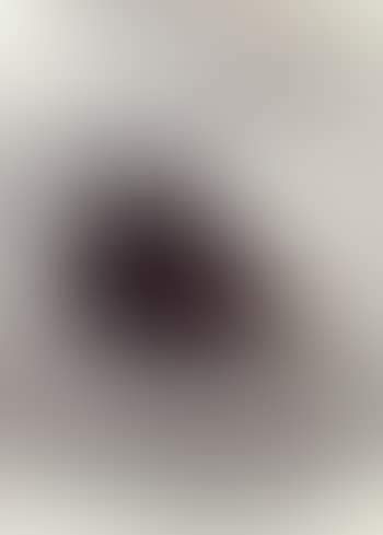 Fig (preview)