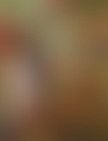 Fortune teller (preview)