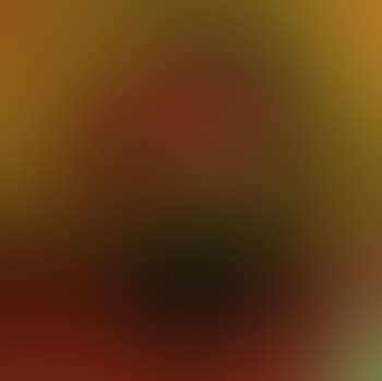 Flowers in vase (preview)