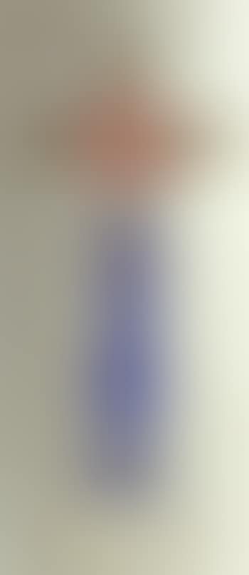 Still life (preview)