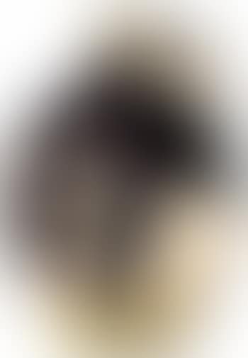 Taureau (preview)