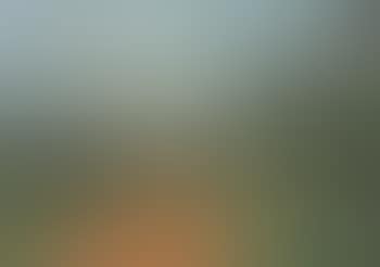 Paysage du Midi (preview)