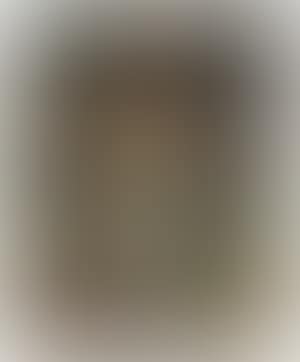 Visage 3 (preview)