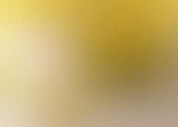 Noix jaune (preview)
