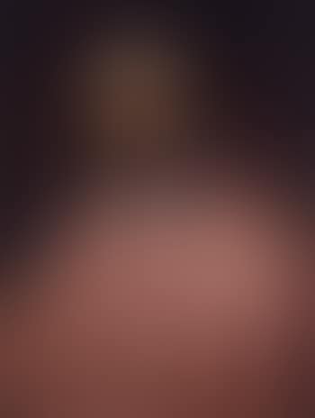 Portrait of cardinal (preview)