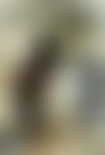 Message (preview)