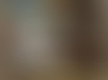 Two horses in landscape (preview)