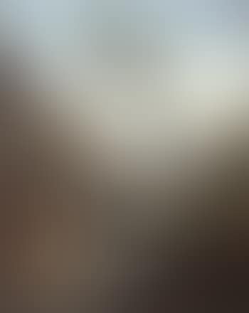 Paysage au pont de pierre (preview)