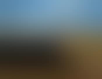 Study of children on a beach (preview)