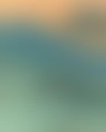 Evening landscape (preview)