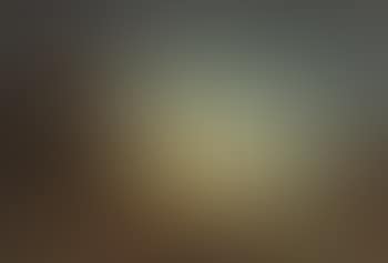 Dutch river landscape in evening light (preview)