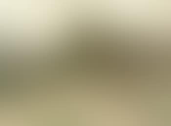Facteur (preview)
