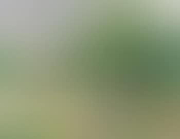 Coin de jardin (preview)