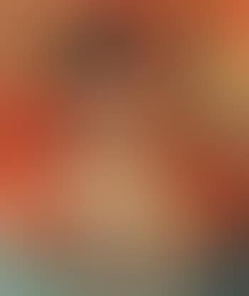 Dame de Chez Maxim's (preview)
