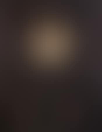 Portrait of a noblewoman in a dress decorated with pearls (preview)