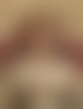 Portrait de Marie van Herreweghen (preview)