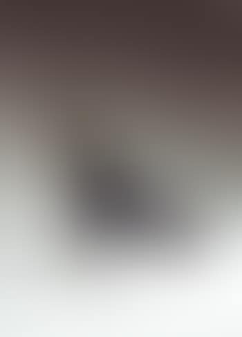 Taureau (preview)