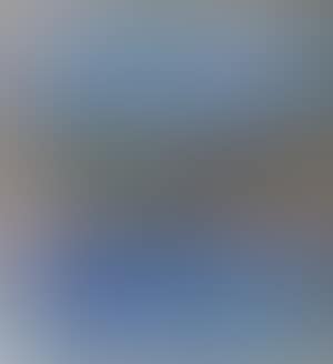 Paysage (preview)