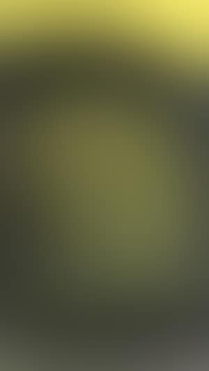 T1962 (preview)