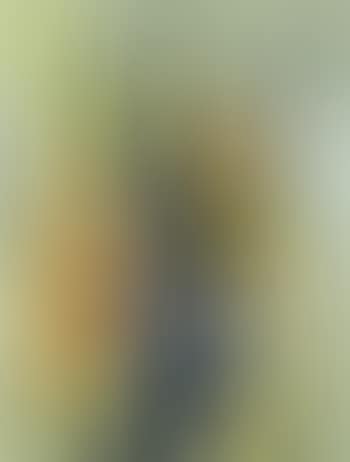 Composition (preview)